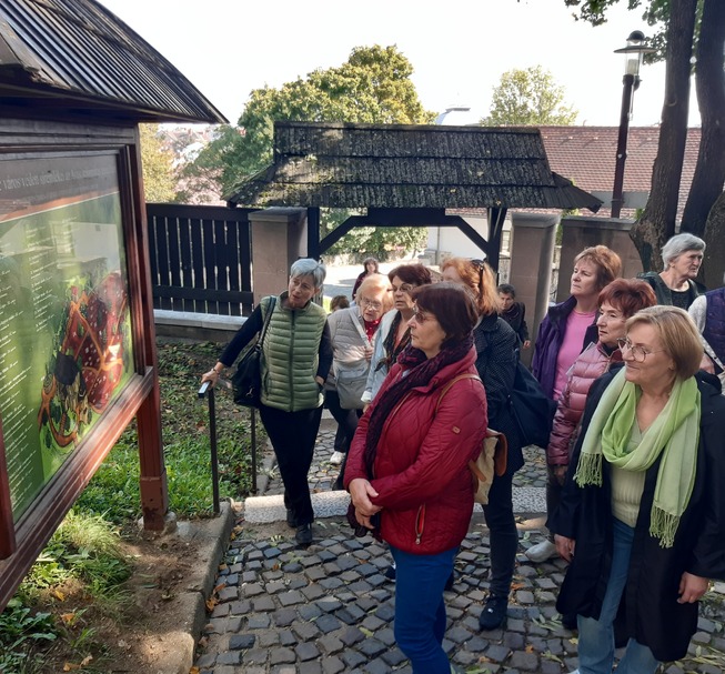 Tematikus belvárosi séták – rendelhető