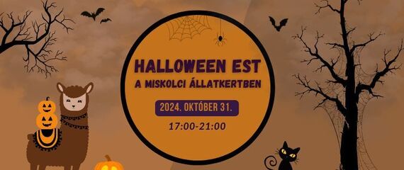 Halloween est az állatkertben