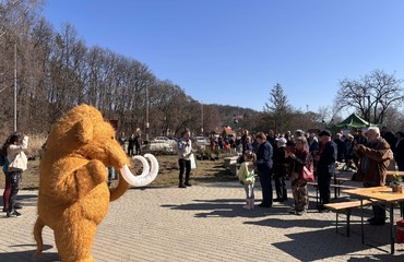 Szokatlan erdőtelepítés Miskolcon, elkészült az első Miyawaki minierdő Szokatlan erdőtelepítés Miskolcon, elkészült az első Miyawaki minierdő