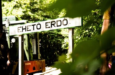 Az Európai Unió legjobbjai közé választottak egy miskolci élményprogramot, amit te is kipróbálhatsz! Az Európai Unió legjobbjai közé választottak egy miskolci élményprogramot, amit te is kipróbálhatsz!